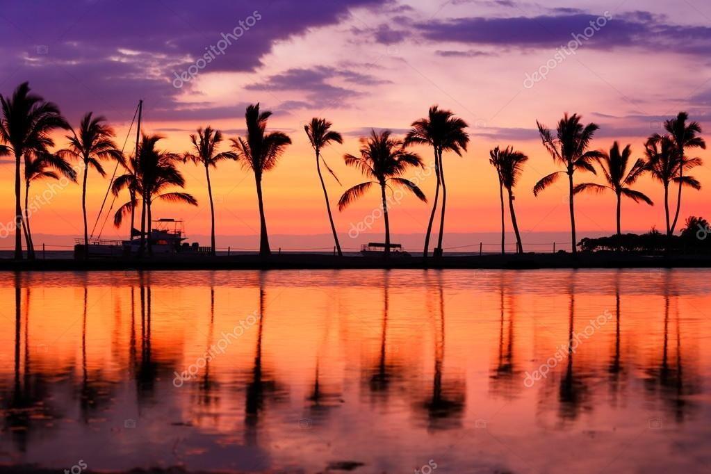 dream vacation, beach, palm trees, sunset