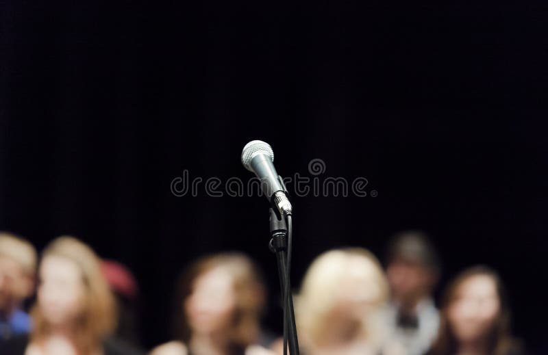 musician, microphone, stage, audience