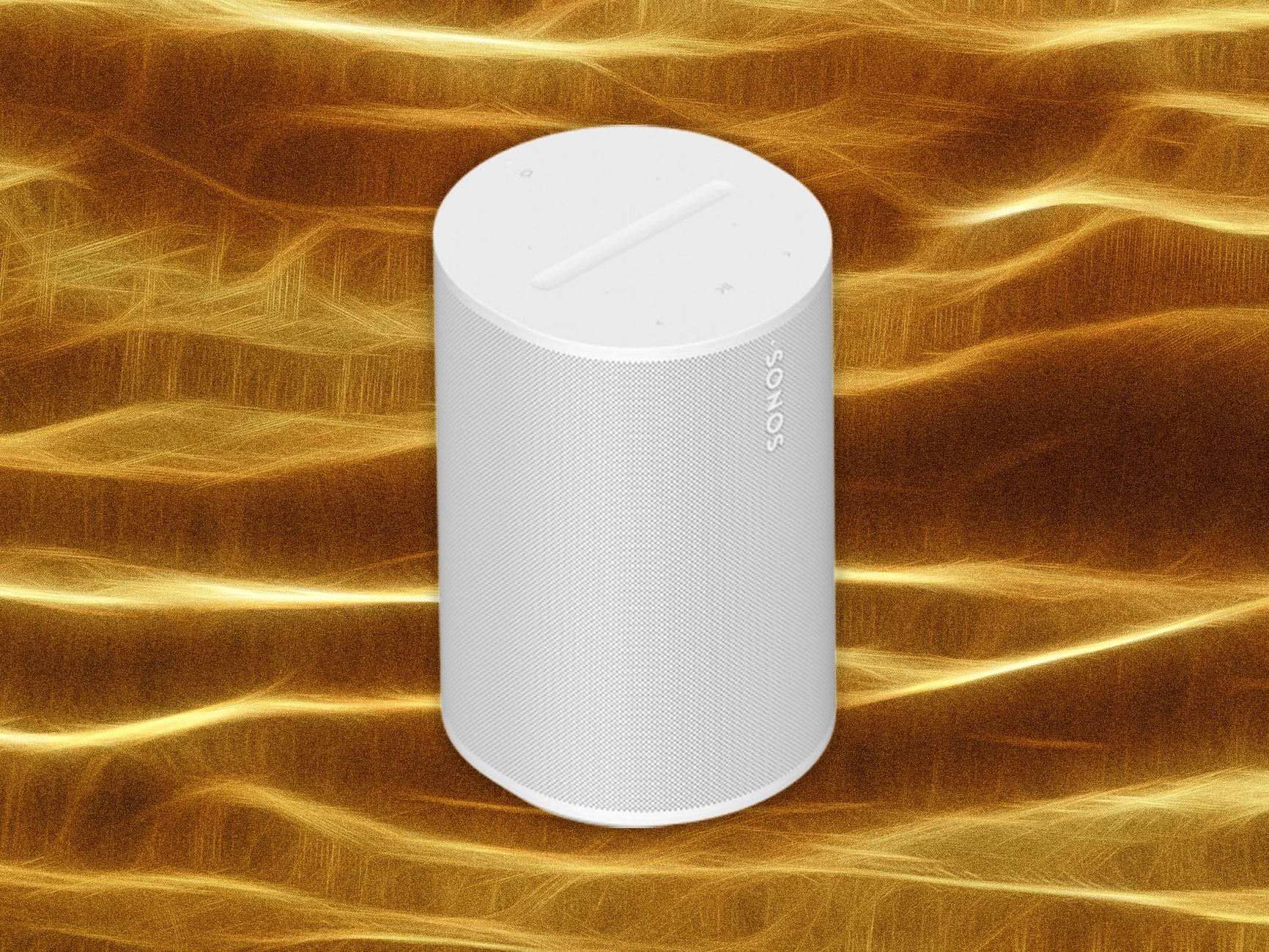 Privacy, smart speaker, microphone off