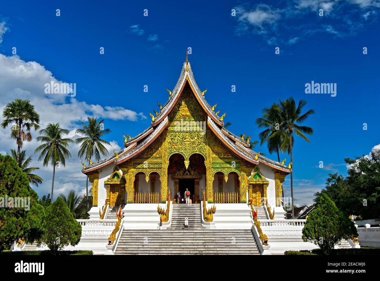 monk,temple,luangprabang,laos