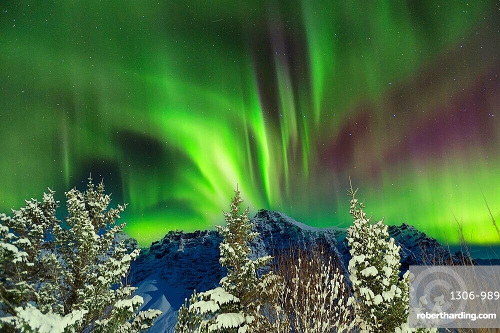 northernlights,iceland,night,stars