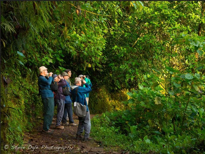 guided-tour,nature,landscape,small-group,responsible
