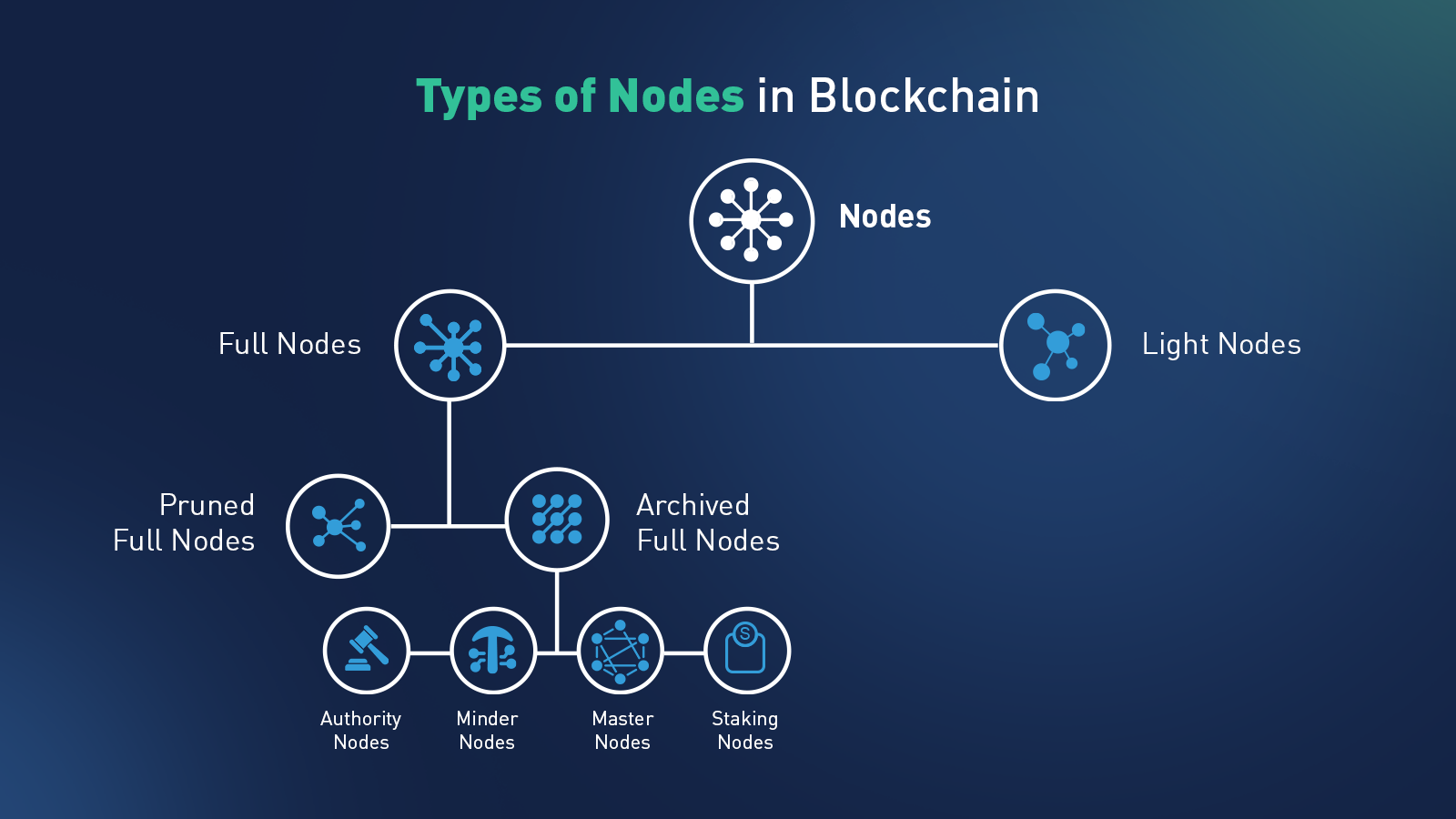 blockchain,nodes,connections