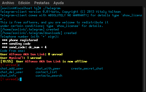 telegram bot, go programming, code, terminal