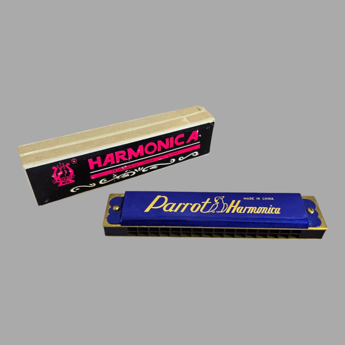 parrot,harmonica,short,session,happy