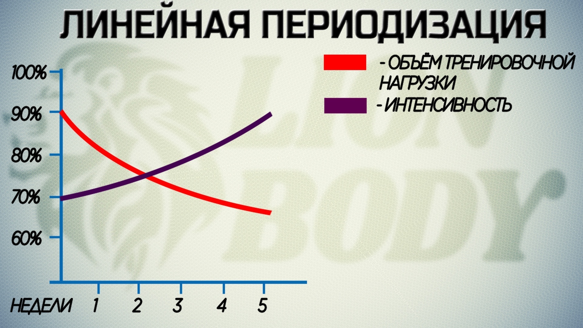 блоки,периодизация,силовые,тренировки