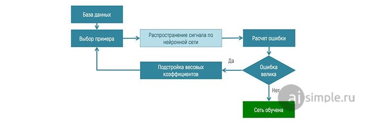 график, AI, нейронная сеть, обучение