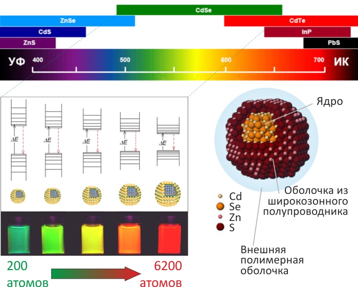 квантовые точки, микроскопическое изображение, структура