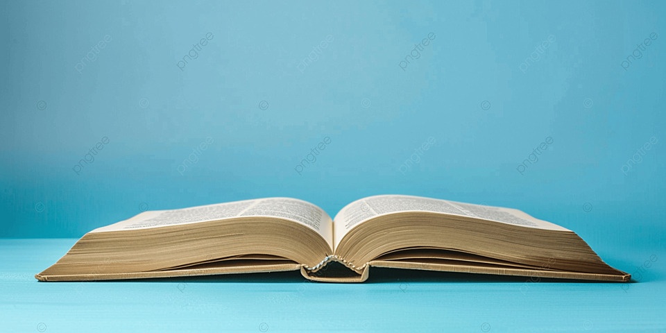 книга, открыта, страницы, иностранный язык