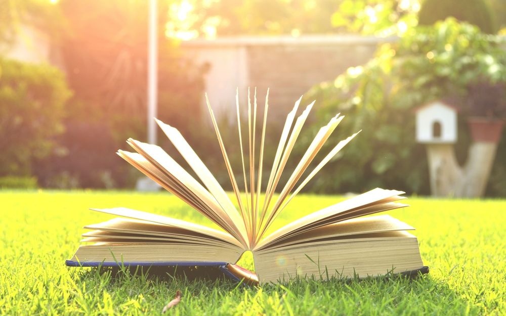 открытая книга, лежащая на траве, солнечный свет