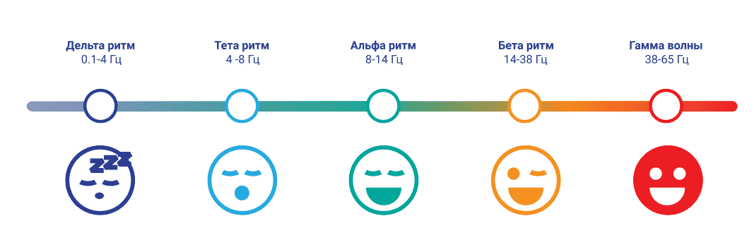мозг, разные зоны, активность