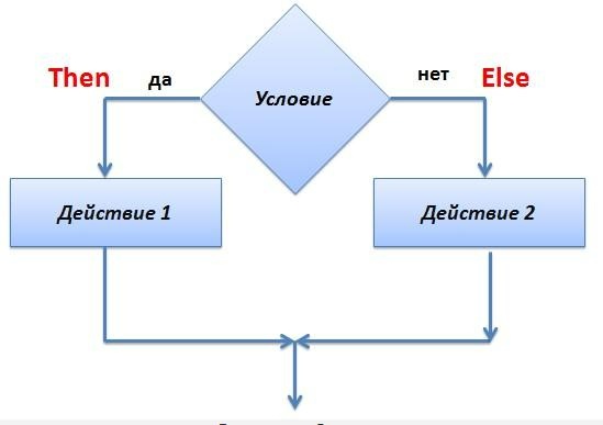 условие,действие,логика,алгоритм,программирование