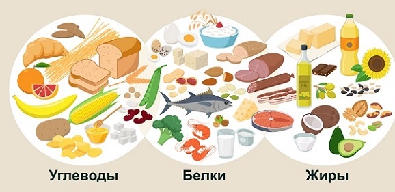 белок,углеводы,жиры,макронутриенты