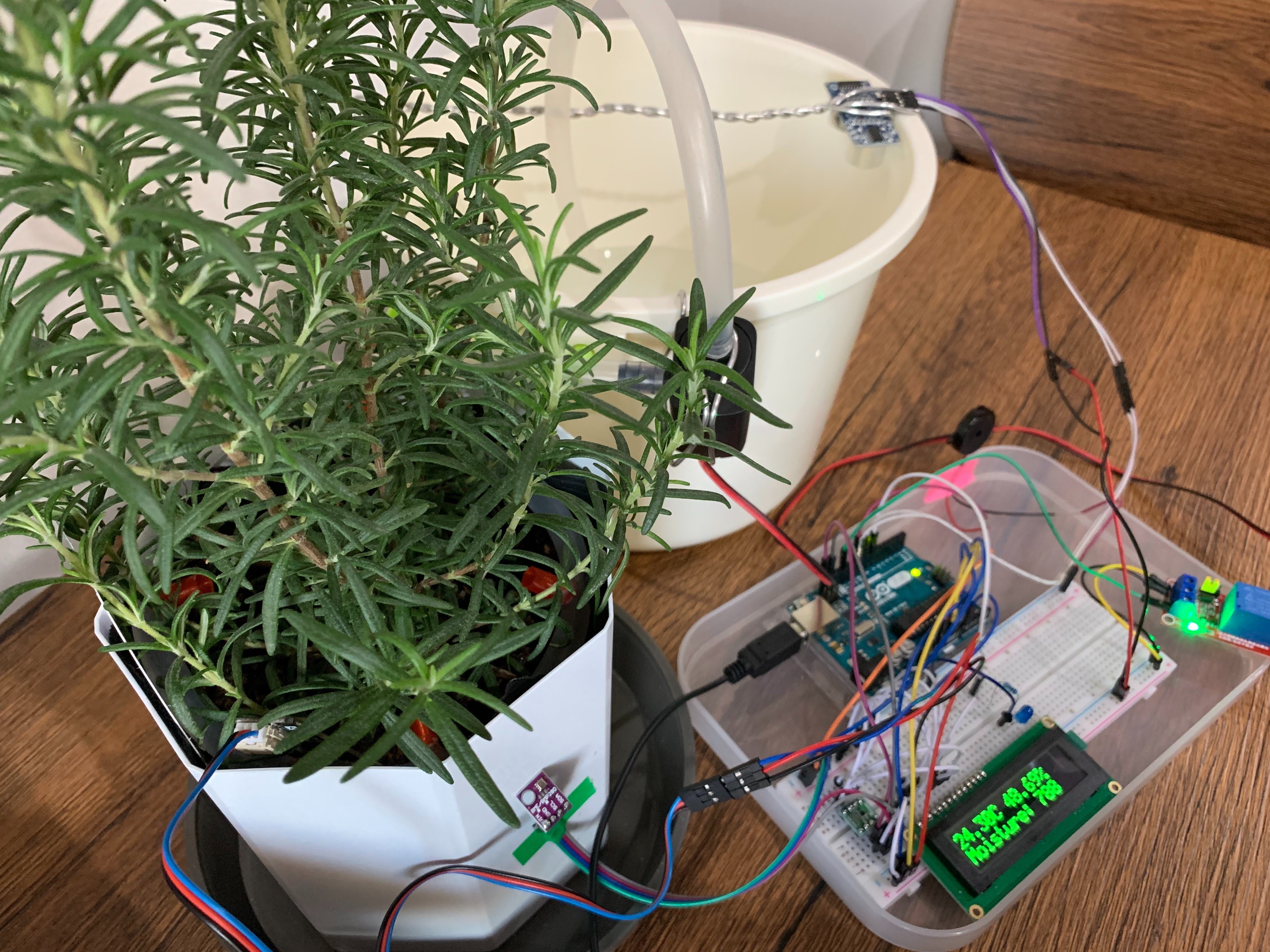 smart garden,arduino,plants,water