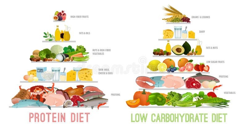 food, healthy, vegetables, protein, carbohydrates
