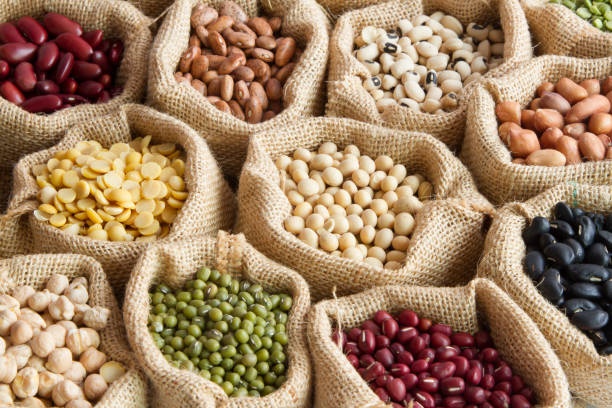 food, protein, fiber, vegetables, beans