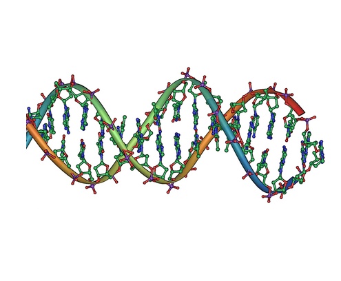 dna,helix,science,research