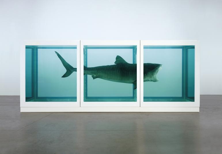Damien Hirst,The Physical Impossibility of Death in the Mind of Someone Living,shark,formaldehyde,art
