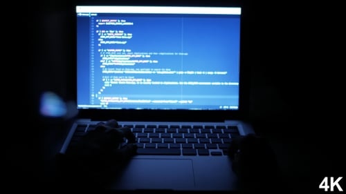 programmer,laptop,code,night