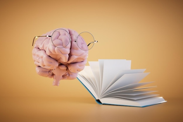 open book,brain,memory,learning