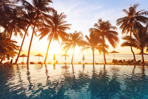 palm trees, beach, bali, sunset