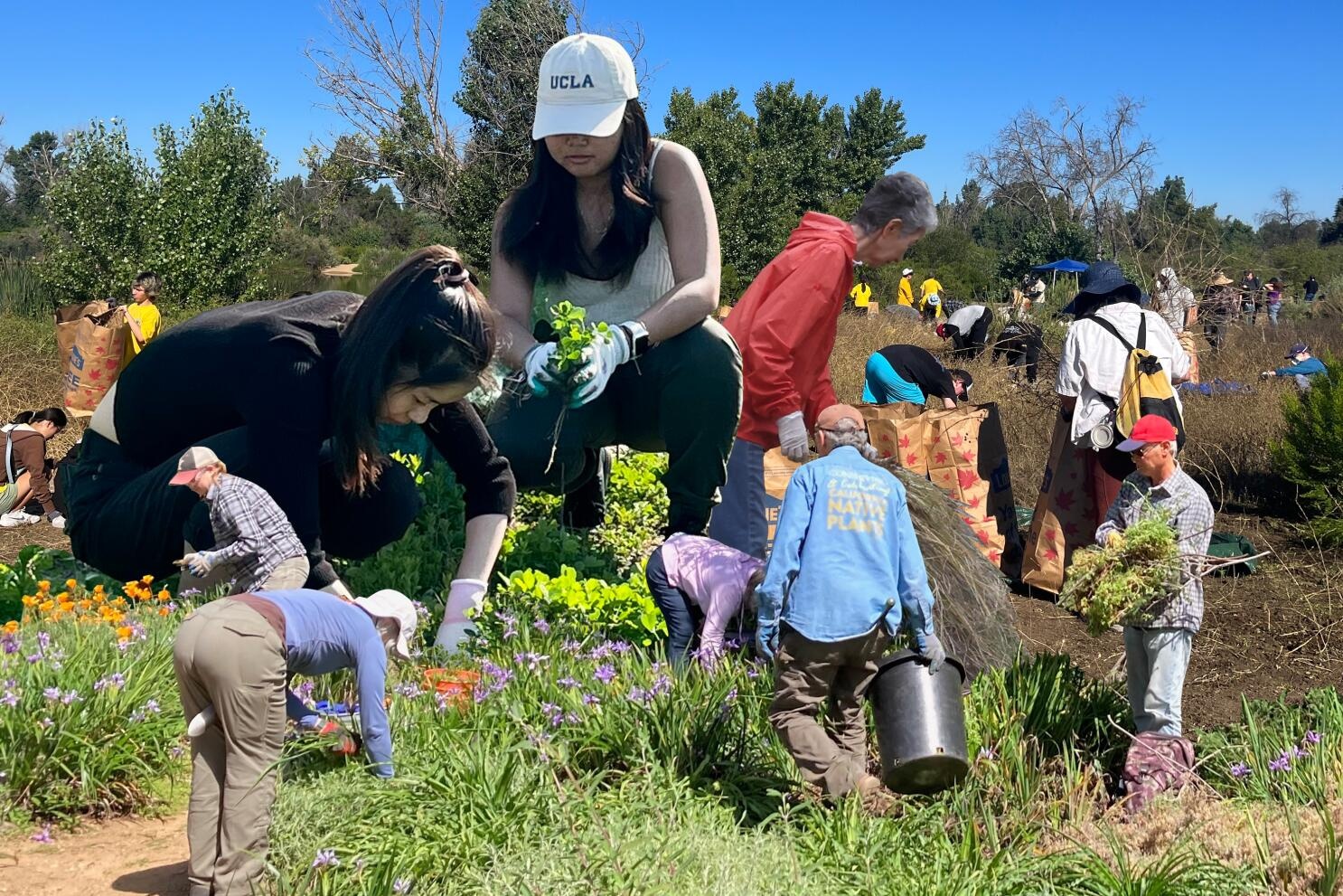 volunteer,work,farm,garden,community