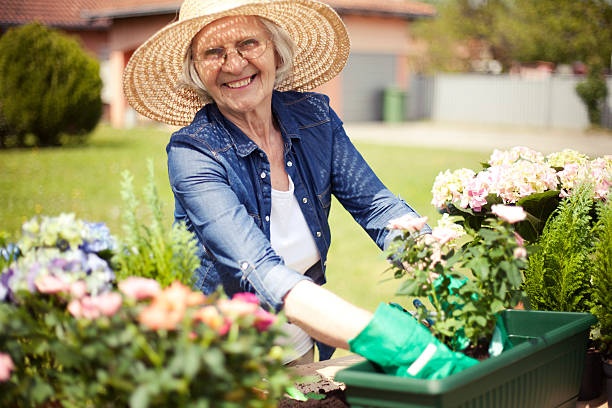 elderly woman,gardening,flowers,sunshine