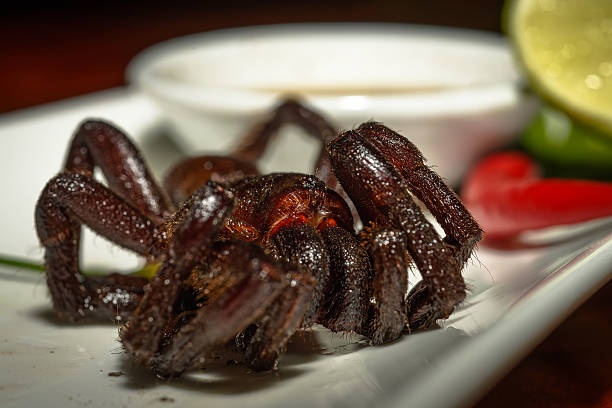 food,tarantula,restaurant,plating