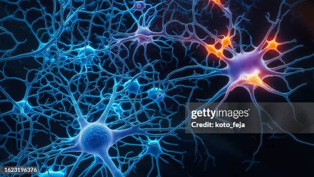 brain, neurons, synapse, complex network