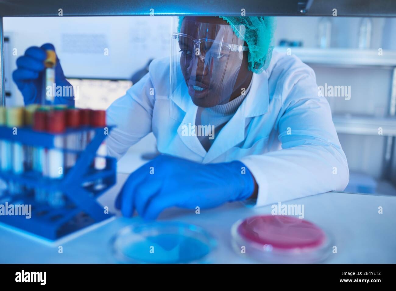 laboratory,scientist,test,experiment