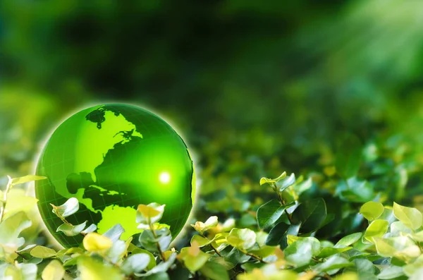 earth,green,leaves,environment