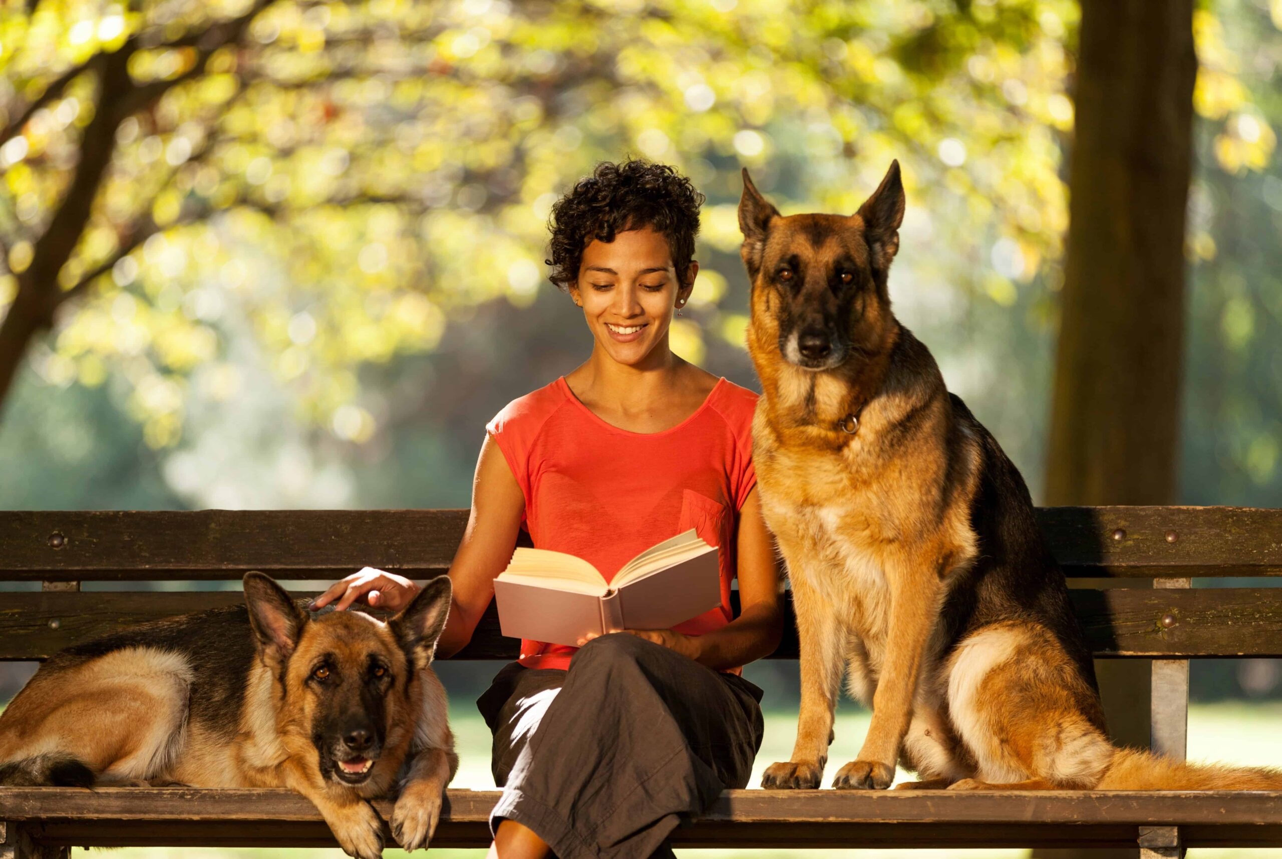 business,lessons,dog,thinking,strategy