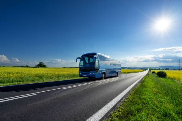 bus,travel,road,landscape