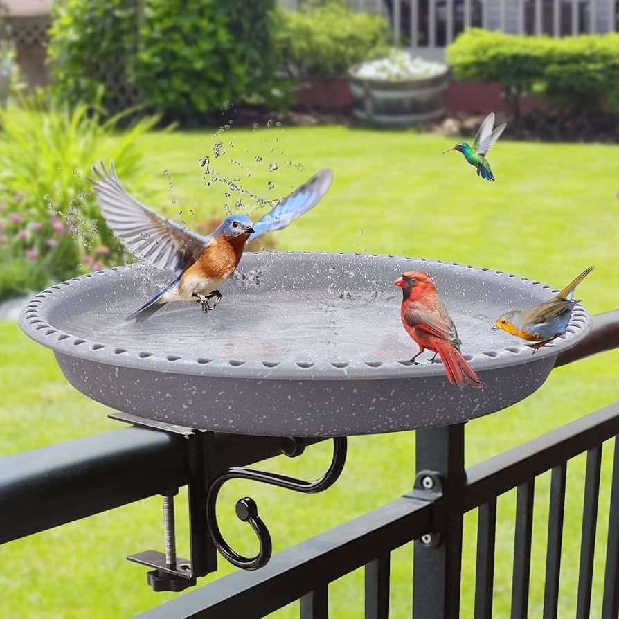 bird, feeder, garden