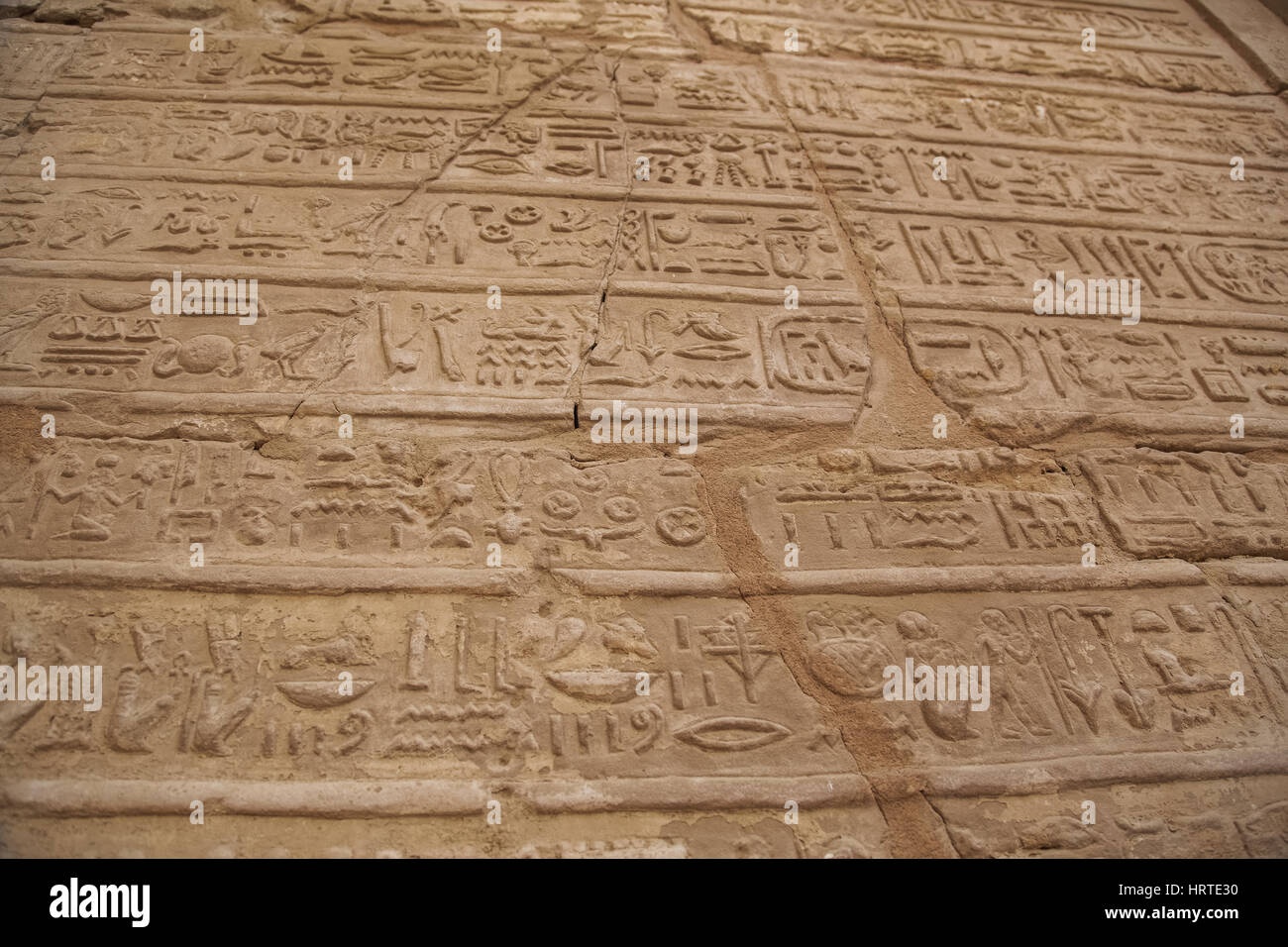 Egyptian hieroglyphs,wall,history,ancient