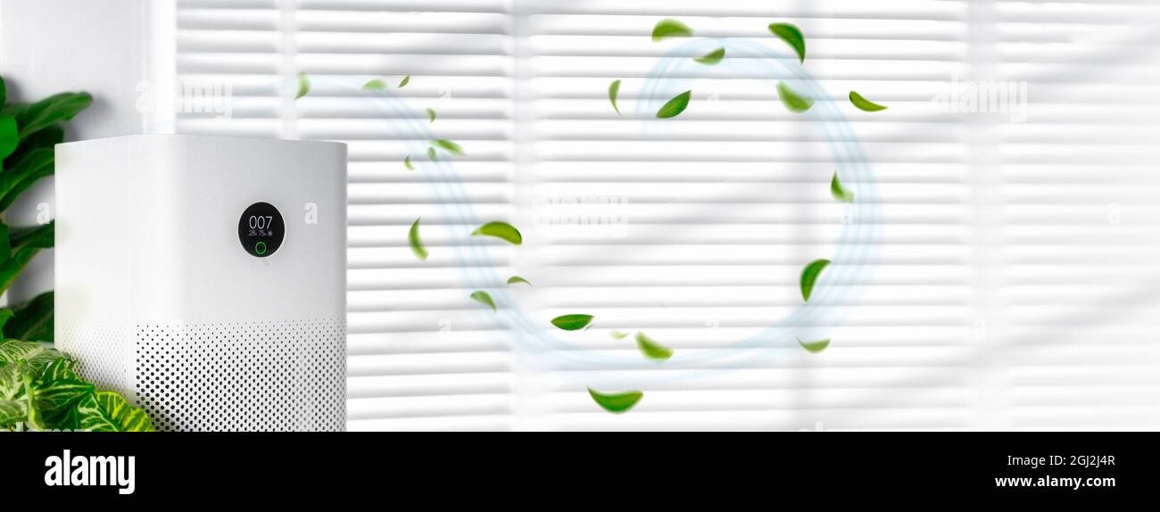 air purifier, bedroom, clean air