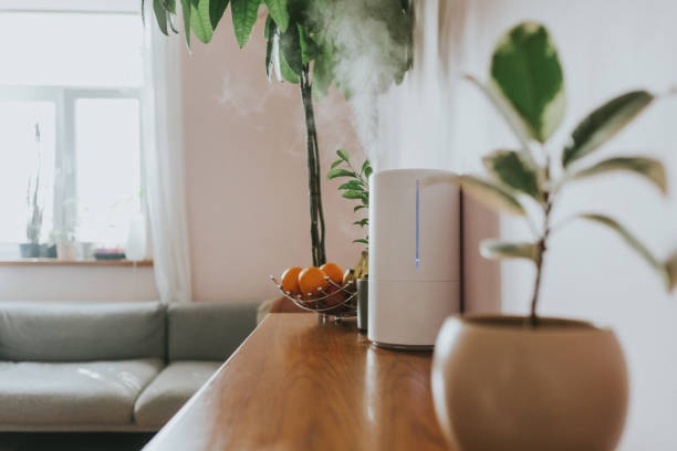 humidifier, living room, moist air