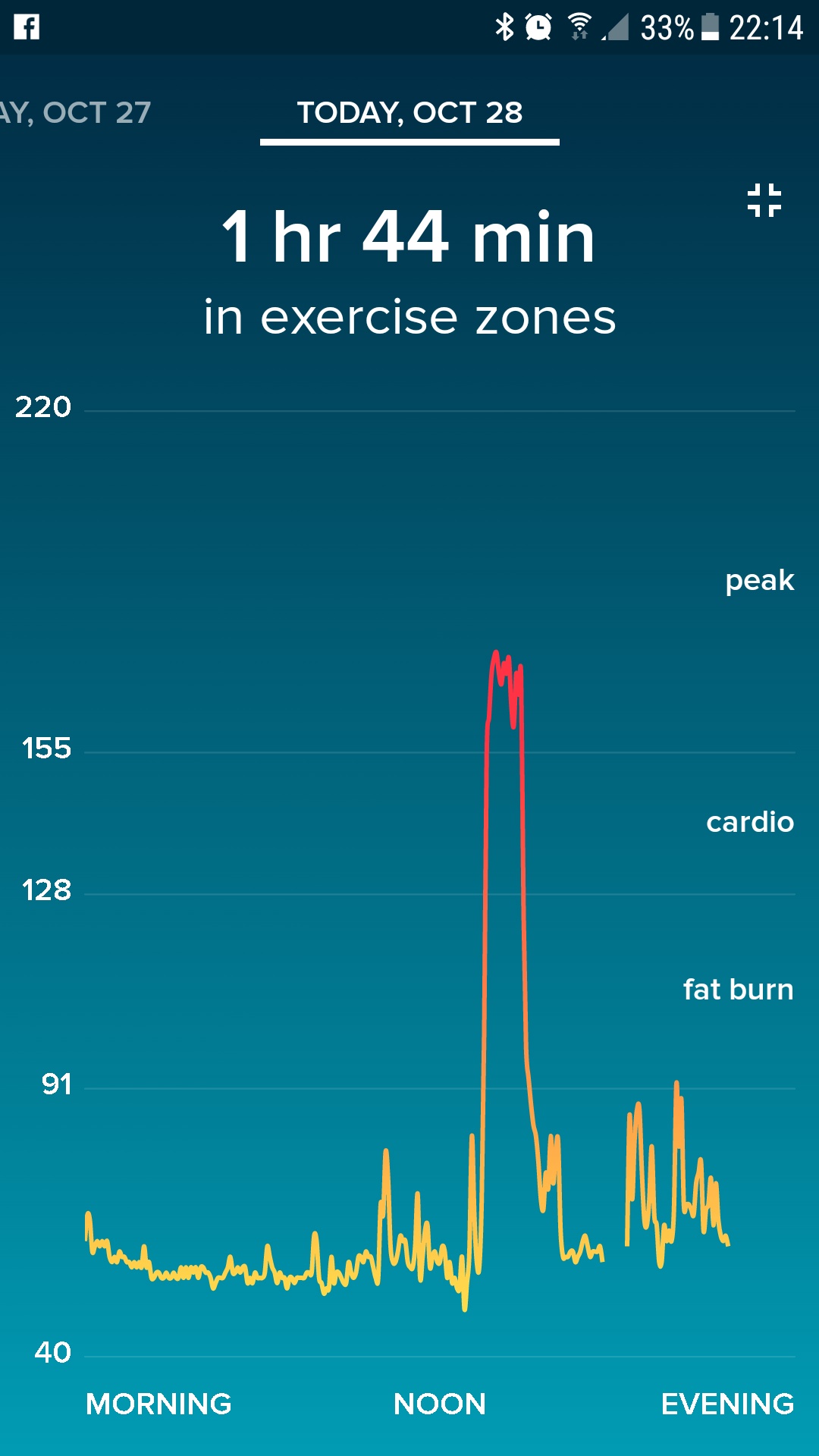 fitness tracker,fitbit,running,workout,heart rate