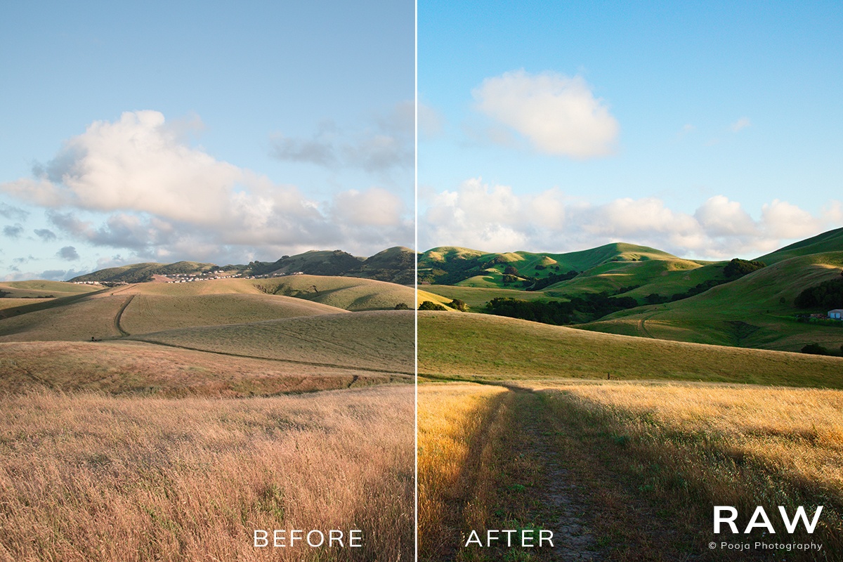 smartphone,fileformat,jpeg,RAW,comparison