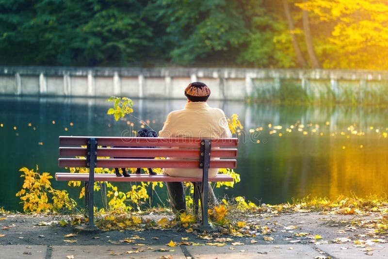 sad friend, lonely, rain, bench