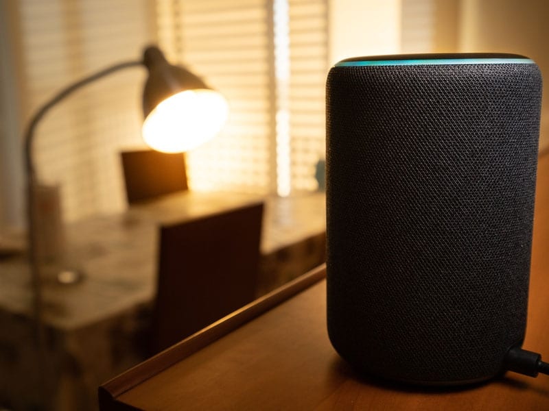 privacy settings, smart speaker, google home, alexa