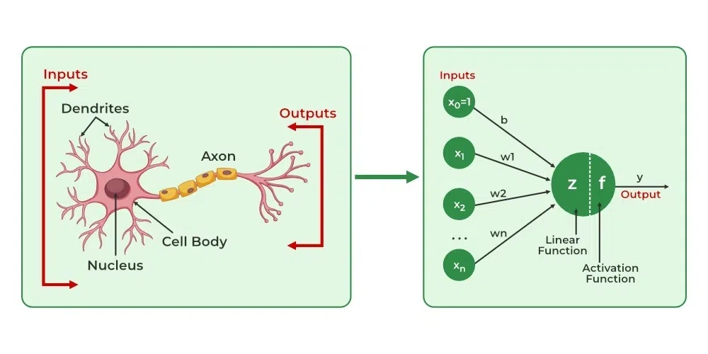 robot,brain,neural network,algorithms,data