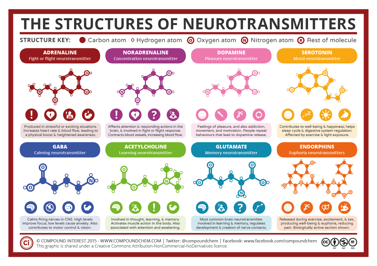 hormones,chemicals,brain,body
