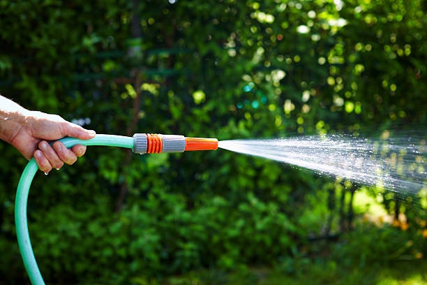 watering,garden,hose,sunshine