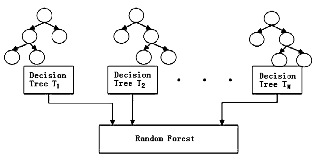 decision tree,random forest,max depth,ensemble learning