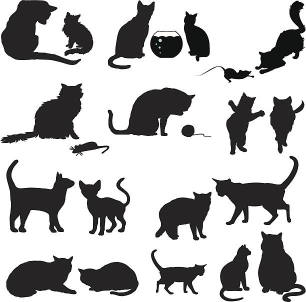 cat,drawing,symbol,floor