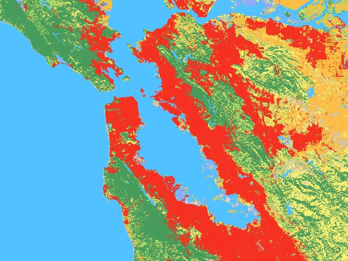 vegetation map, google earth pro, analysis