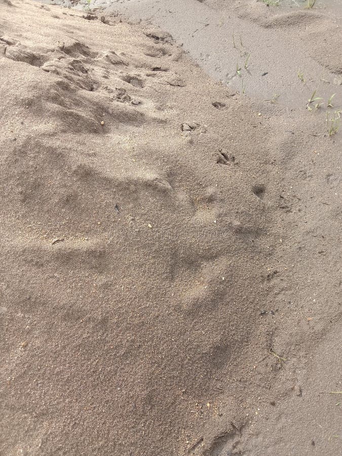 sand,glue,land,base