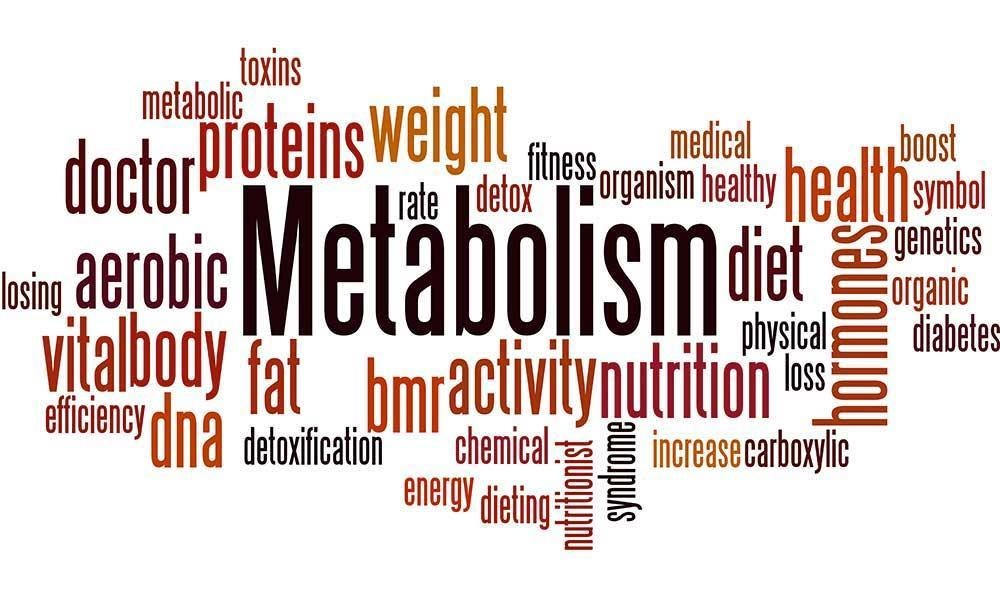 metabolism,burning fat,muscle growth,energy boost