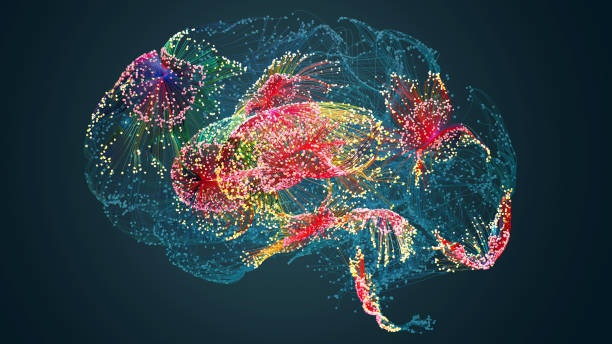 brain, neurons, thinking, concept